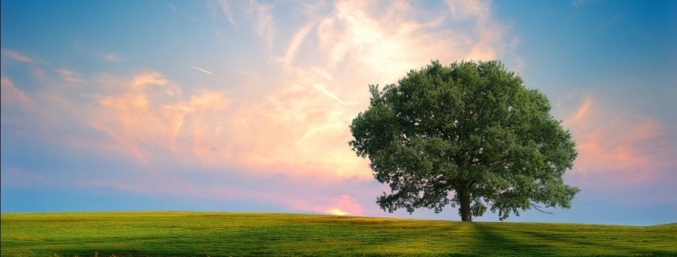 Blog featured image