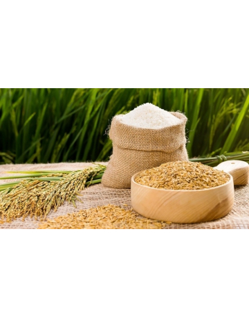 Single product image