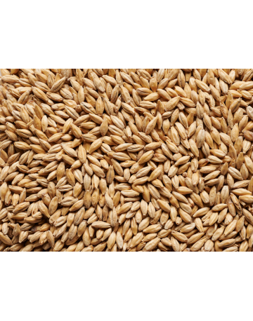 Single product image